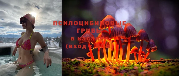 шишки Богородицк